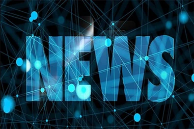 Màu Sắc Giày Hài Hòa Và Tinh Tế